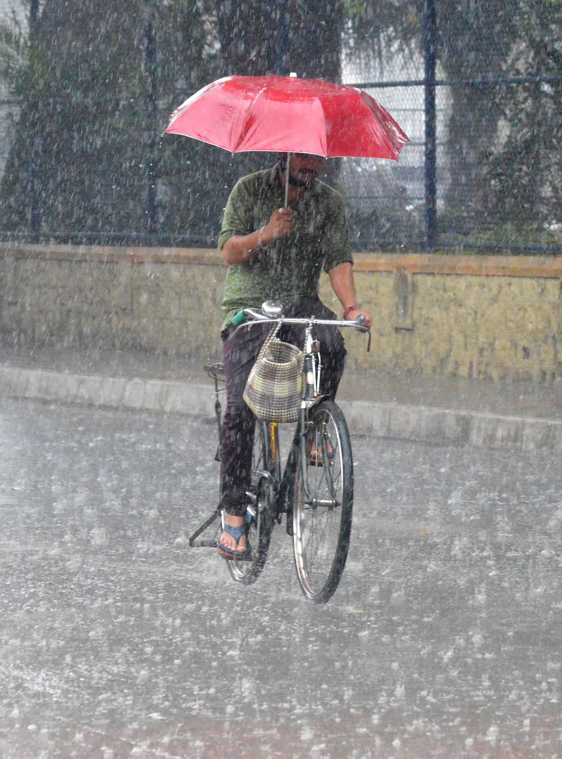 ಚಿಕ್ಕಮಗಳೂರು: ಜಿಲ್ಲೆಯಾದ್ಯಂತ ಭಾರೀ ಮಳೆಗೆ ಜನಜೀವನ ಅಸ್ತವ್ಯಸ್ತ