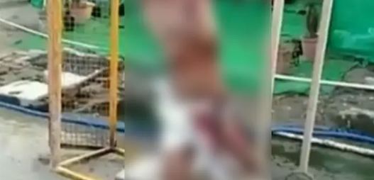 ಸಿಂಘು ಗಡಿಯಲ್ಲಿ ಯುವಕನ ಹತ್ಯೆ: ಅಪರಾಧಿಗಳ ವಿರುದ್ಧ ಕಠಿಣ ಕ್ರಮಕ್ಕೆ ದಲಿತ ಸಂಘಟನೆಗಳ ಆಗ್ರಹ