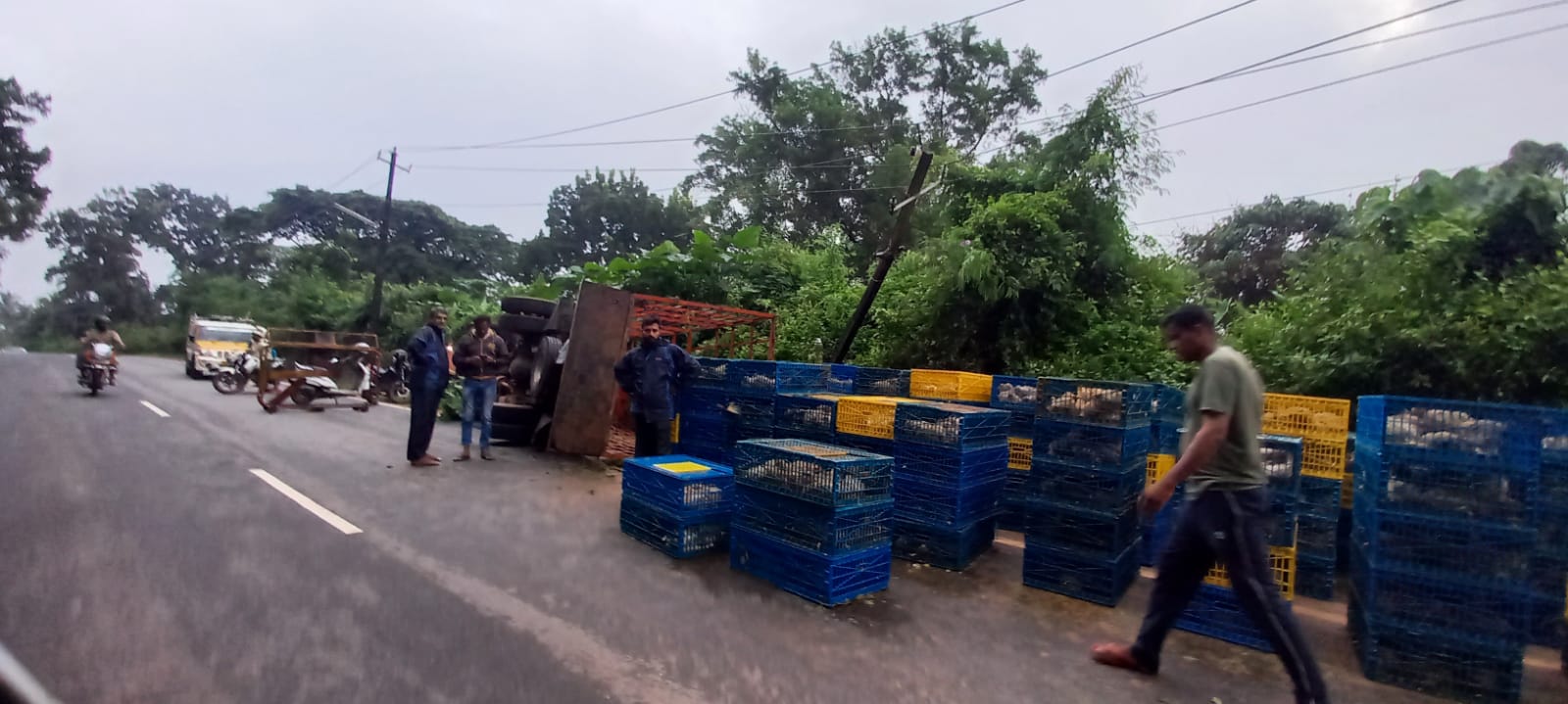 ಪುತ್ತೂರು : ವಿದ್ಯುತ್ ಕಂಬಕ್ಕೆ ಢಿಕ್ಕಿಯಾಗಿ ಕೋಳಿ ಸಾಗಾಟದ ಲಾರಿ ಪಲ್ಟಿ