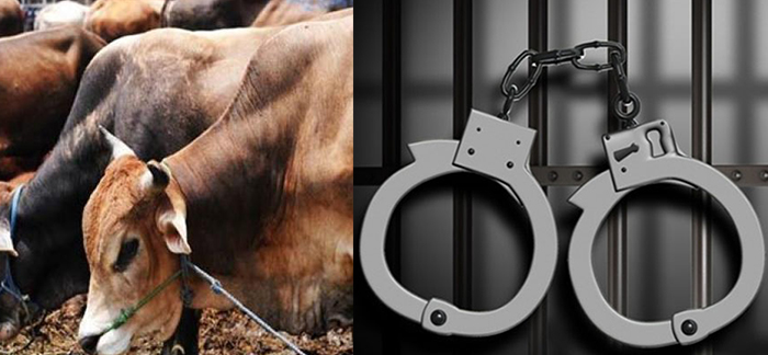 ಚಿಕ್ಕಮಗಳೂರು: ರಸ್ತೆ ಬದಿಯಲ್ಲೇ ಮಾಂಸಕ್ಕಾಗಿ ಗೋಹತ್ಯೆ