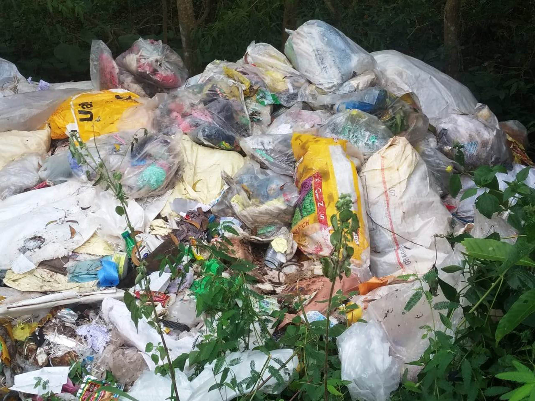 ಪಡುಬಿದ್ರೆ : ಕಸ ಎಸೆದ ವ್ಯಕ್ತಿಗೆ 5000 ರೂ. ದಂಡ