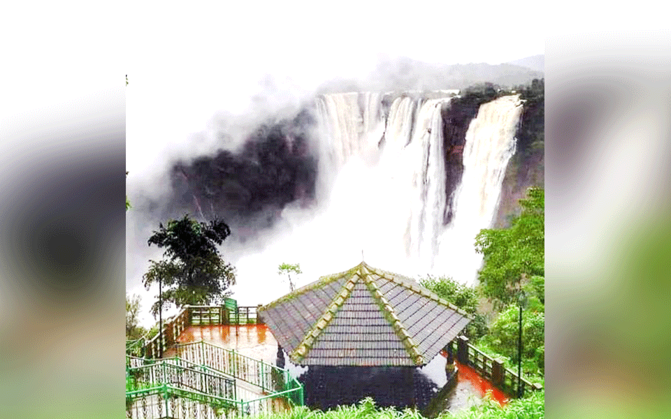 ಜೋಗದಲ್ಲಿ ಪಂಚತಾರಾ ಹೊಟೇಲ್ ನಿರ್ಮಾಣ: ಅವಕಾಶ ನೀಡದಂತೆ ಪರಿಸರ ವನ್ಯಜೀವಿ ಮಂಡಳಿ ಆಕ್ಷೇಪಣೆ