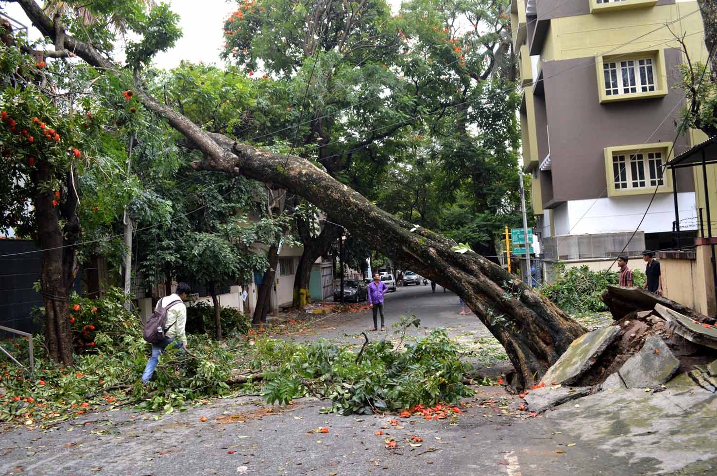 ಧಾರಾಕಾರ ಮಳೆ; ಬೆಂಗಳೂರಿನ ರಸ್ತೆಗಳು ಜಲಾವೃತ