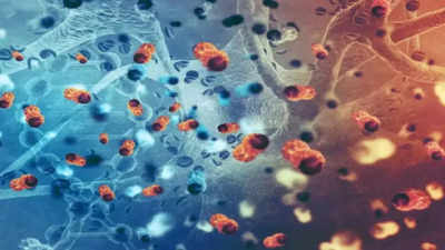 ಕೇರಳದಲ್ಲಿ ಅಪರೂಪದ ನೋರೊವೈರಸ್ ಪ್ರಕರಣಗಳು ವರದಿ