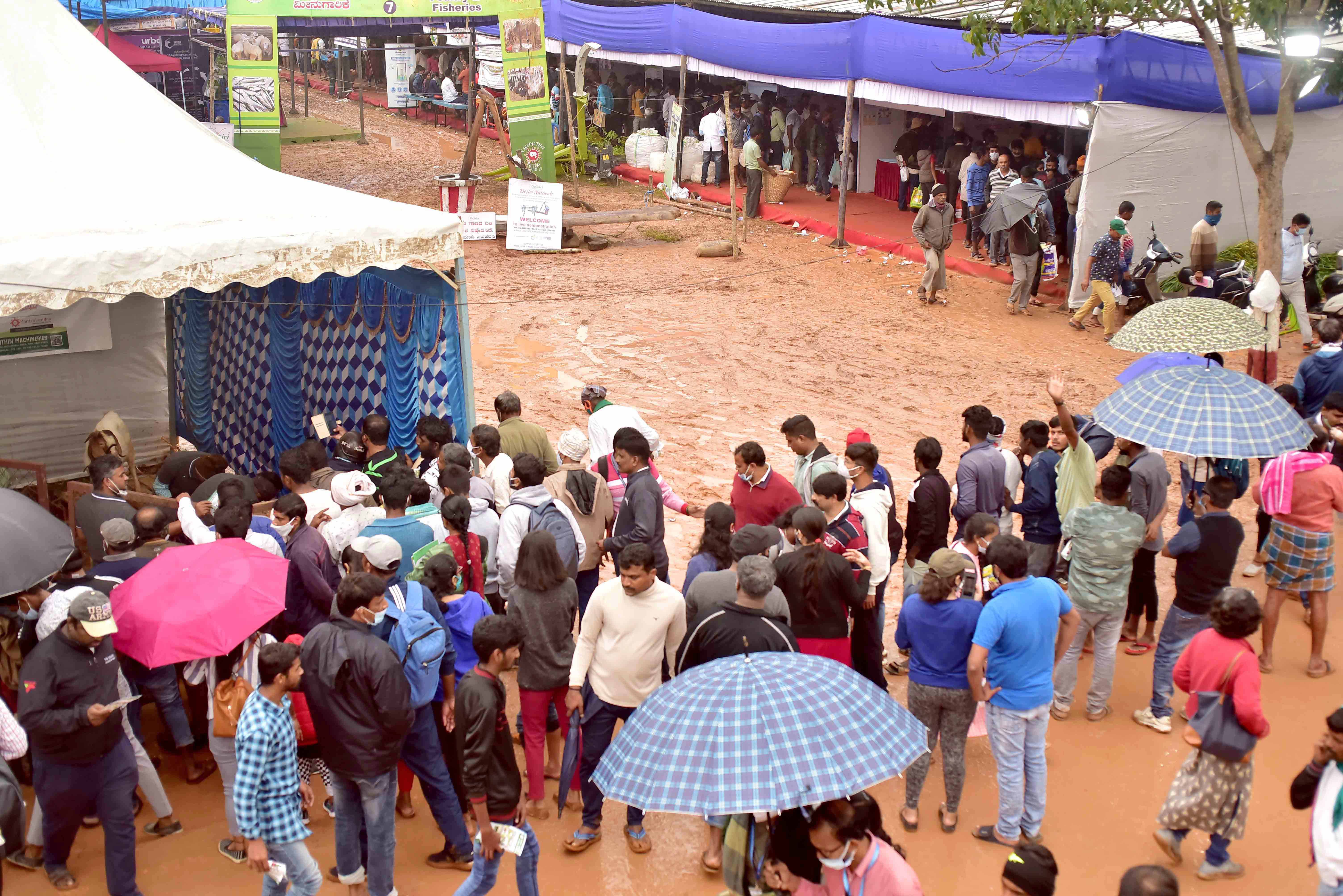 ಬೆಂಗಳೂರು: ಮಳೆ ನಡುವೆಯೂ ಕೃಷಿಮೇಳದಲ್ಲಿ ಭಾಗವಹಿಸಿದ ಜನ