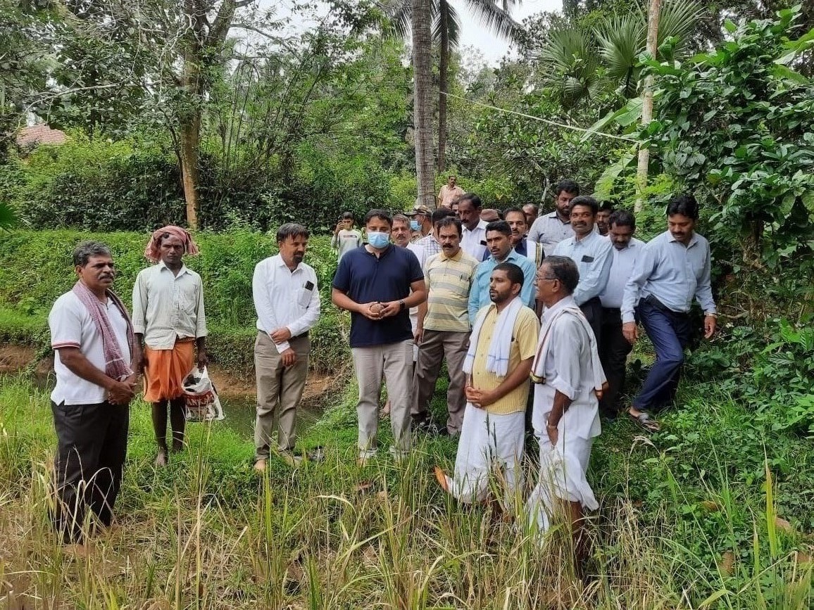 ಭತ್ತದ ಕೃಷಿಗೆ ಪ್ರೋತ್ಸಾಹ ನೀಡುವ ಕಾರ್ಯ ಶ್ಲಾಘನೀಯ: ಜಿಲ್ಲಾಧಿಕಾರಿ ಡಾ.ರಾಜೇಂದ್ರ