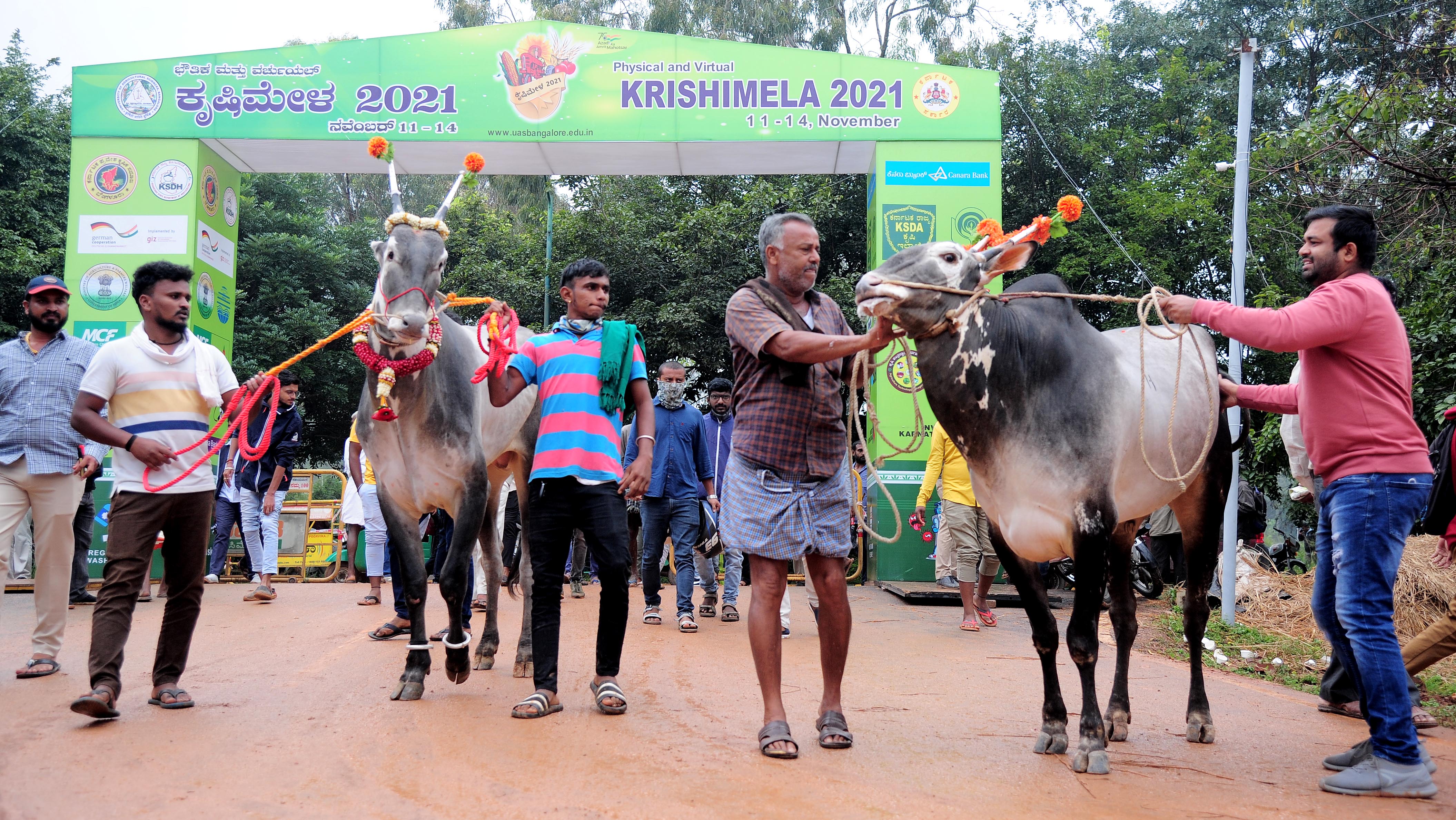ಬೆಂಗಳೂರು: ಕೃಷಿ ಮೇಳಕ್ಕೆ ತೆರೆ; ನಾಲ್ಕು ದಿನಗಳಲ್ಲಿ 8 ಲಕ್ಷಕ್ಕೂ ಅಧಿಕ ಮಂದಿ ಭೇಟಿ, 4.25 ಕೋಟಿ ರೂ.ವಹಿವಾಟು