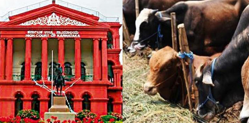 ಗೋಹತ್ಯೆ ನಿಷೇಧ ಕಾಯ್ದೆ: ಡಿ.16ಕ್ಕೆ ಅಂತಿಮ ವಿಚಾರಣೆ