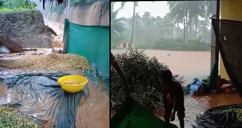 ಕಾಫಿನಾಡಿನಲ್ಲಿ ನಿಲ್ಲದ ವರುಣನ ಅಬ್ಬರ: ಕೃಷಿಕರ ಪರದಾಟ