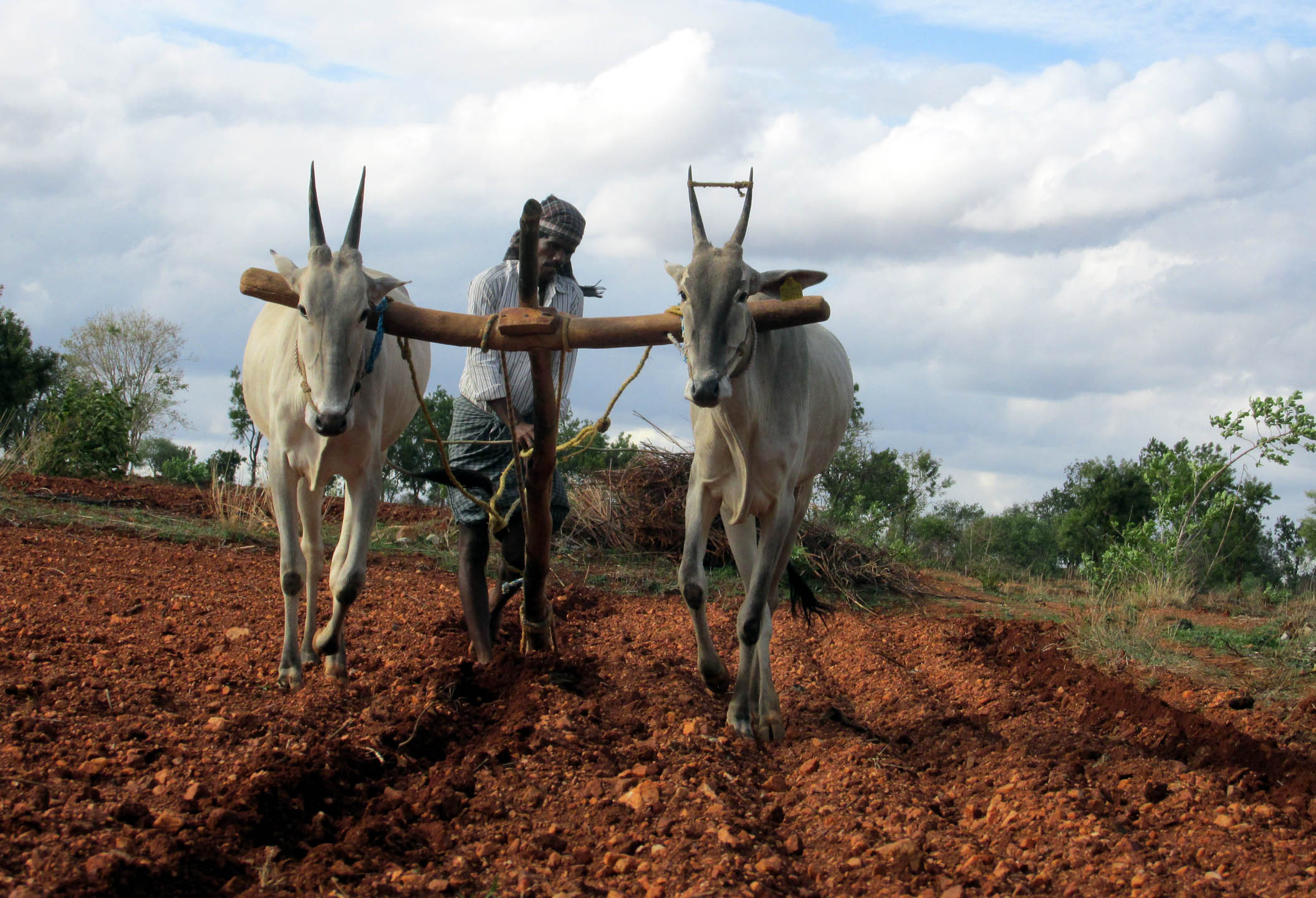 ರಾಜ್ಯದಲ್ಲಿ ಹೋರಾಟ ಮುಂದುವರಿಯಲಿದೆ: ಸಂಯುಕ್ತ ಹೋರಾಟ-ಕರ್ನಾಟಕ