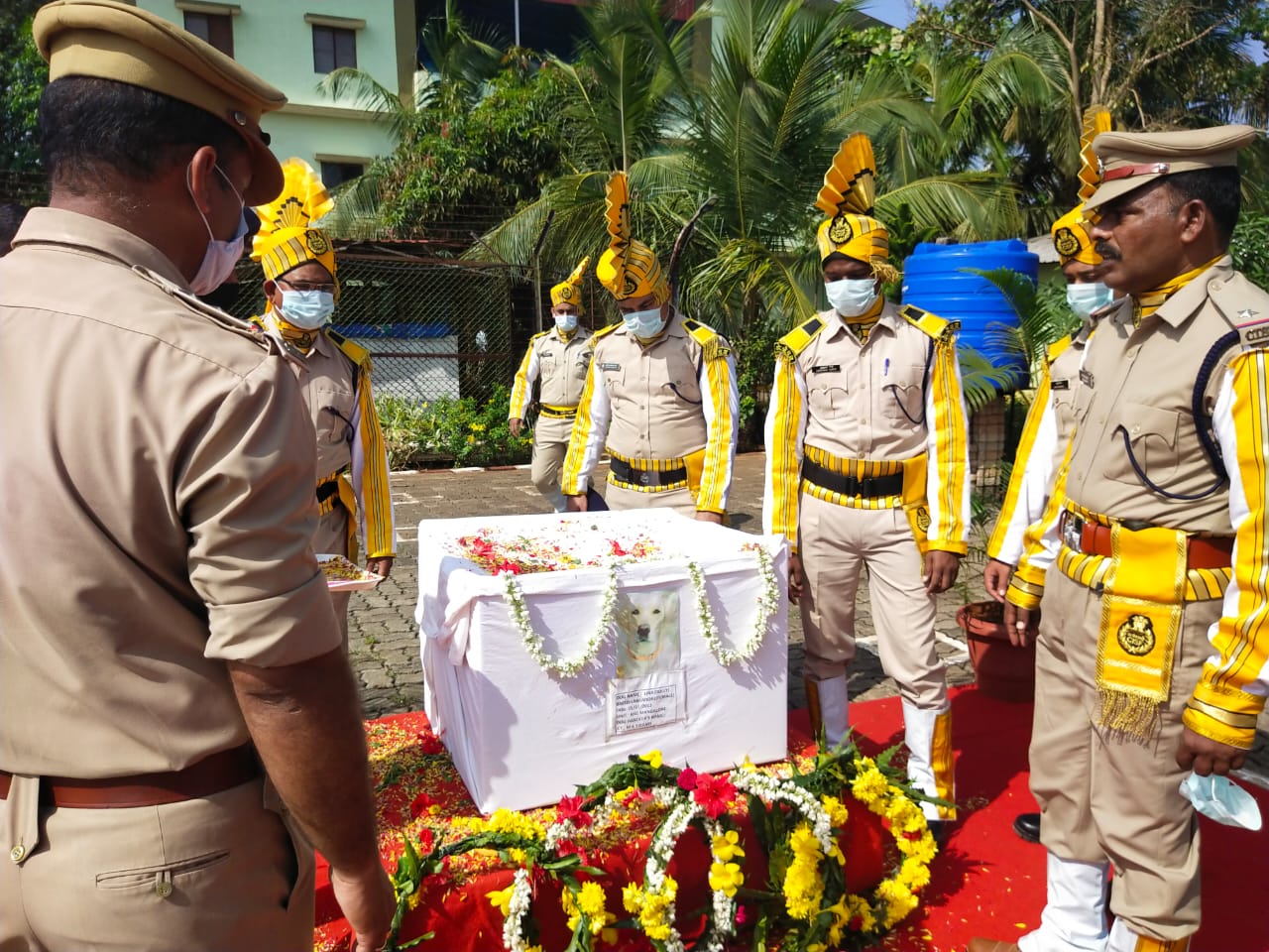 ಮಂಗಳೂರು: ಸಿಐಎಸ್‌ಎಫ್ ಬಾಂಬ್ ಪತ್ತೆದಳದ ಶ್ವಾನ ಸಾವು