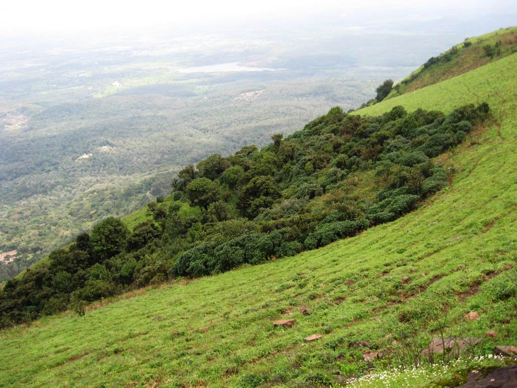 ಚಂದ್ರದ್ರೋಣ ಪರ್ವತ ಶ್ರೇಣಿಯಲ್ಲಿ ಅಕ್ರಮ ಭೂ ಮಂಜೂರಾತಿ: ಜಿ.ವೀರೇಶ್ ಆರೋಪ