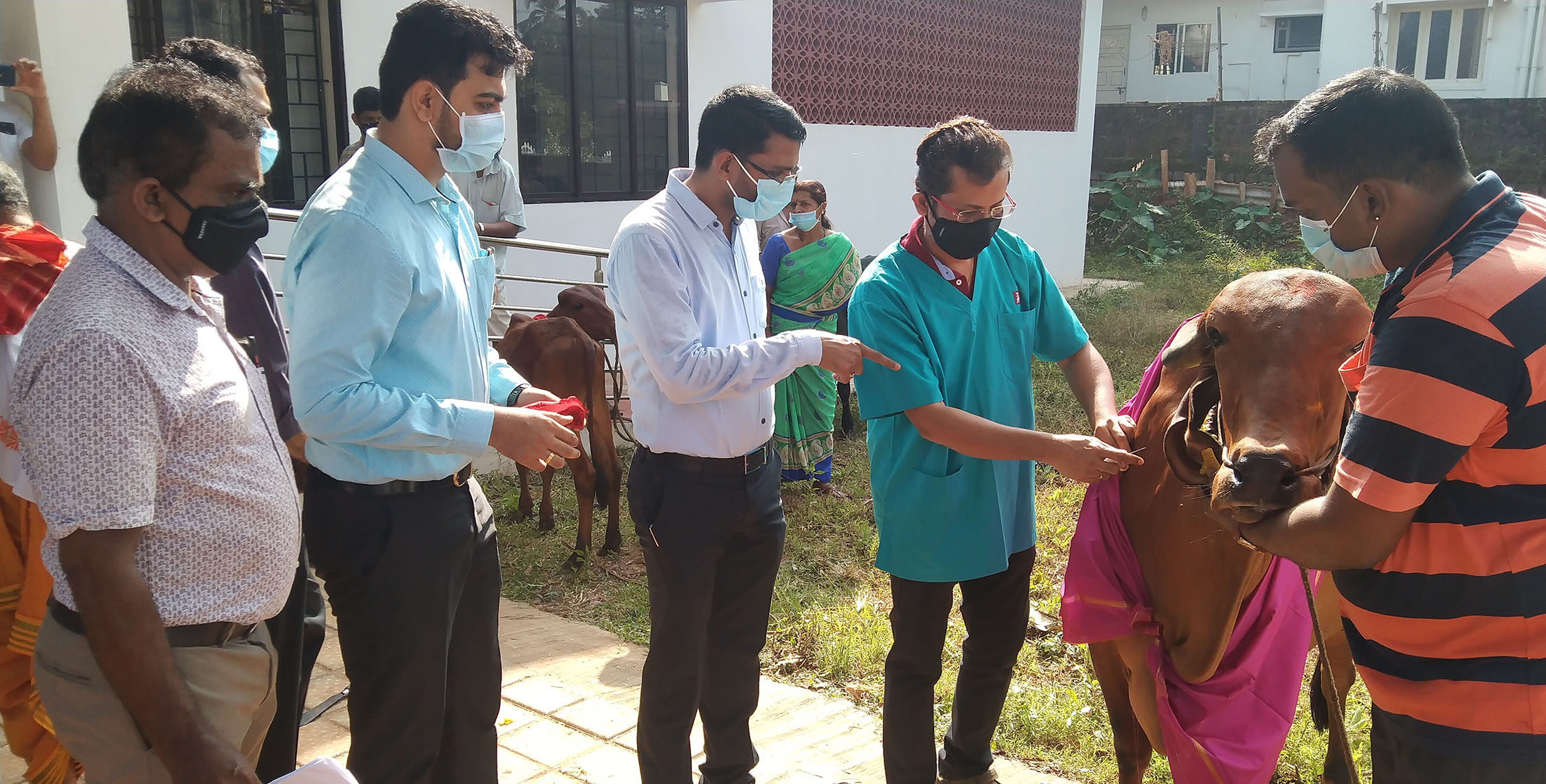 ಮೂಕ ಪ್ರಾಣಿಗಳ ನೋವು ಅರಿತು ಚಿಕಿತ್ಸೆ ನೀಡಿ: ಡಿಸಿ ಕೂರ್ಮಾರಾವ್