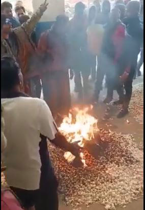 ಮಧ್ಯಪ್ರದೇಶ: ಬೆಲೆ ಕುಸಿತದಿಂದ ಹತಾಶನಾಗಿ ಬೆಳ್ಳುಳ್ಳಿ ಬೆಳೆಯನ್ನು ಸುಟ್ಟುಹಾಕಿದ ರೈತ