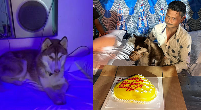 ಶಿವಮೊಗ್ಗ: ಪೆಂಡಾಲ್ ಹಾಕಿಸಿ ಬಿರಿಯಾನಿ ಭೋಜನ ಏರ್ಪಡಿಸಿ ಶ್ವಾನದ ಹುಟ್ಟುಹಬ್ಬ ಆಚರಿಸಿದ ಯುವಕ