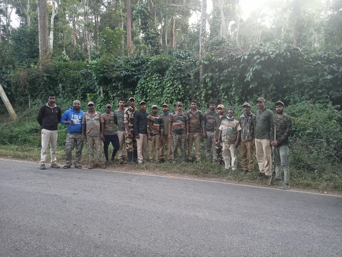 ಮಡಿಕೇರಿ: ತೋಟದಲ್ಲೇ ಉಳಿದುಕೊಂಡ ಕಾಡಾನೆ ಹಿಂಡು; ರವಿವಾರವೂ ಮುಂದುವರಿಯಲಿದೆ ಕಾರ್ಯಾಚರಣೆ