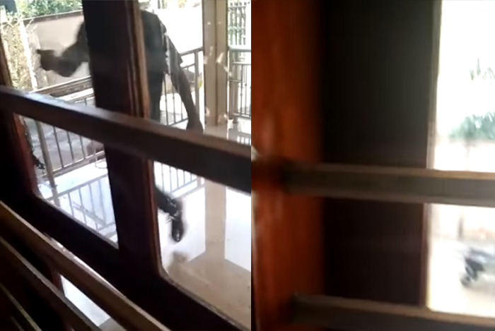 ಮಡಿಕೇರಿ: ಮನೆಯ ಬಾಗಿಲು ಬಡಿದು ಆತಂಕ ಸೃಷ್ಟಿಸಿದ್ದ ಆರೋಪಿ ಪೊಲೀಸ್ ವಶ