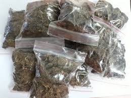 ಸುಳ್ಯ, ಪುತ್ತೂರು ಅಬಕಾರಿ ಇಲಾಖೆಯ ಜಂಟಿ ಕಾರ್ಯಾಚರಣೆ; ಹಾಸ್ಟೆಲ್‌ನಲ್ಲಿ ಸಂಗ್ರಹಿಸಿಟ್ಟಿದ್ದ 11 ಕೆ.ಜಿ. ಗಾಂಜಾ ವಶ