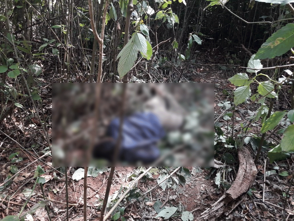 ಬೆಟ್ಟತ್ತೂರು ಗ್ರಾಮದಲ್ಲಿ ಕಾಡಾನೆ ದಾಳಿ: ವ್ಯಕ್ತಿ ಸಾವು