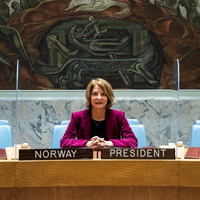 ಇಸ್ರೇಲ್-ಪೆಲೆಸ್ತೀನ್ ಬಿಕ್ಕಟ್ಟಿನ ಬಗ್ಗೆ ವಿಶ್ವಸಂಸ್ಥೆ ಭದ್ರತಾ ಸಮಿತಿ ಹೆಚ್ಚಿನ ಗಮನ ನೀಡಬೇಕಿದೆ