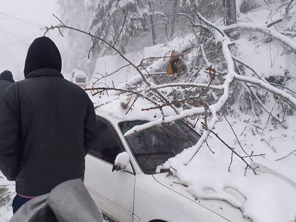 ಪಾಕ್: ಭಾರೀ ಹಿಮಮಾರುತ; ವಾಹನಗಳಲ್ಲಿ ಸಿಲುಕಿದ್ದ 21 ಮಂದಿ ದಾರುಣ ಸಾವು