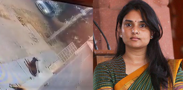 ನಮ್ಮಲ್ಲಿ ಪ್ರಾಣಿಗಳ ಕಾನೂನು ಕಠಿಣ ಇಲ್ಲ: ಬೀದಿ ನಾಯಿ ಮೇಲೆ ಕಾರು ಹರಿಸಿದ್ದ ಪ್ರಕರಣಕ್ಕೆ ನಟಿ ರಮ್ಯಾ ಪ್ರತಿಕ್ರಿಯೆ