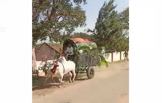 ಚಿಕ್ಕಮಗಳೂರು: ಎತ್ತಿನಗಾಡಿ ಢಿಕ್ಕಿಯಾಗಿ ಓರ್ವ ಮೃತ್ಯು