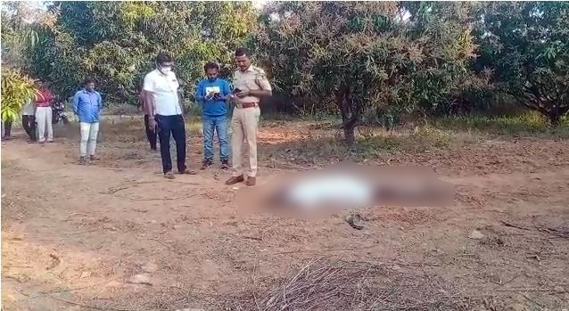 ಕೋಲಾರ: ವೃದ್ಧನ ಕತ್ತು ಸೀಳಿ ಕೊಲೆ