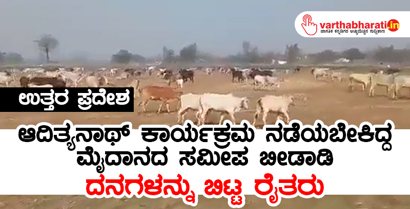ಉತ್ತರ ಪ್ರದೇಶ: ಆದಿತ್ಯನಾಥ್‌ ಕಾರ್ಯಕ್ರಮ ನಡೆಯಬೇಕಿದ್ದ ಮೈದಾನದ ಸಮೀಪ ಬೀಡಾಡಿ ದನಗಳನ್ನು ಬಿಟ್ಟ ರೈತರು
