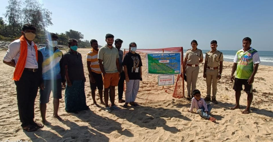 ಕೋಡಿ: ಕಡಲಾಮೆ ಮೊಟ್ಟೆಗಳು ಪತ್ತೆ