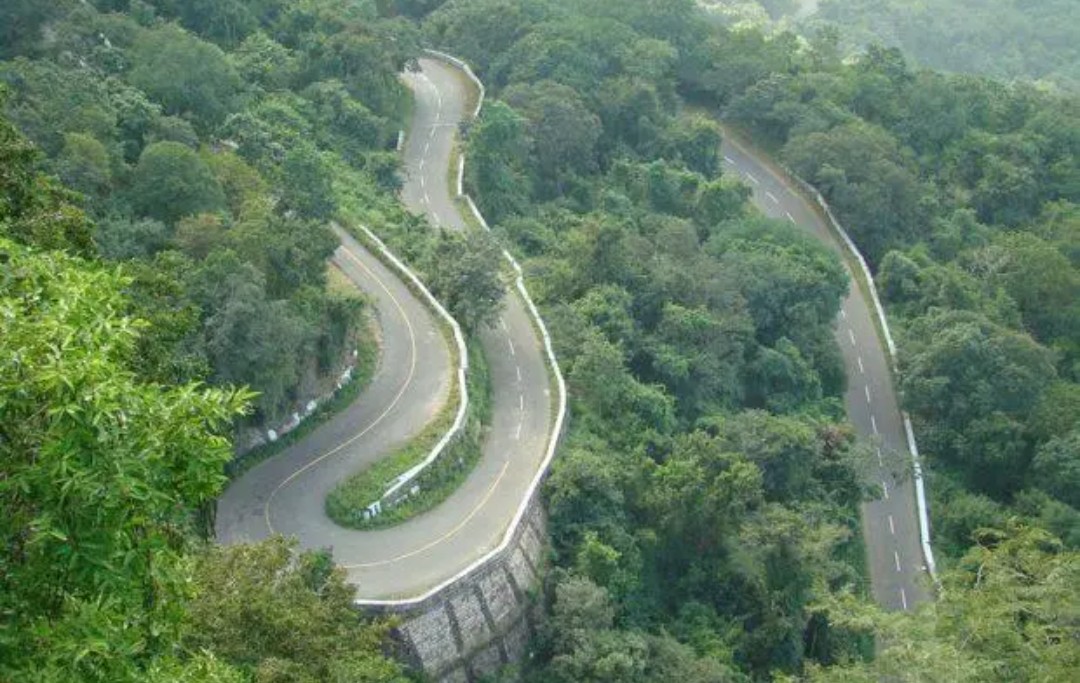 ತಮಿಳುನಾಡಿನ ದಿಂಬಂ ಘಾಟಿಯಲ್ಲಿ ಫೆ.10ರಿಂದ ರಾತ್ರಿ ಸಂಚಾರ ನಿಷೇಧ