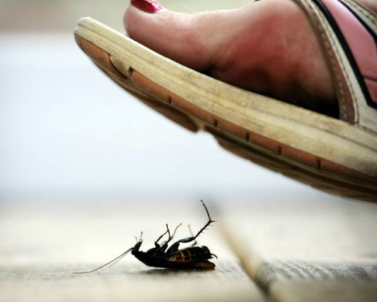 ಸಮಾಜ ಘಾತುಕತನ