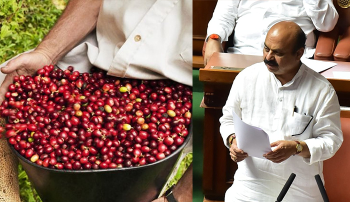 ಕಾಫಿ ಬೆಳೆಗಾರರಿಗೂ 10 ಎಚ್‍ಪಿವರೆಗೆ ವಿದ್ಯುತ್ ಸಬ್ಸಿಡಿ: ಮುಖ್ಯಮಂತ್ರಿ ಬಸವರಾಜ ಬೊಮ್ಮಾಯಿ