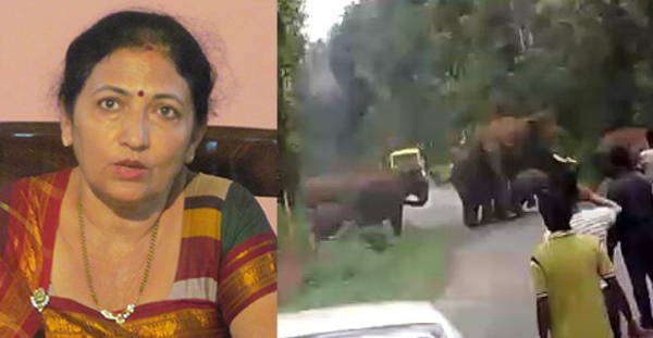 ಕೊಡಗಿನಲ್ಲಿ ವನ್ಯ ಜೀವಿಗಳ ಹಾವಳಿ: ಪರಿಸ್ಥಿತಿ ಹೀಗೆ ಮುಂದುವರಿದರೆ ಪರಿಹಾರ ಕೊಡಲು ಜನ ಉಳಿಯುವುದಿಲ್ಲ; ವೀಣಾ ಅಚ್ಚಯ್ಯ