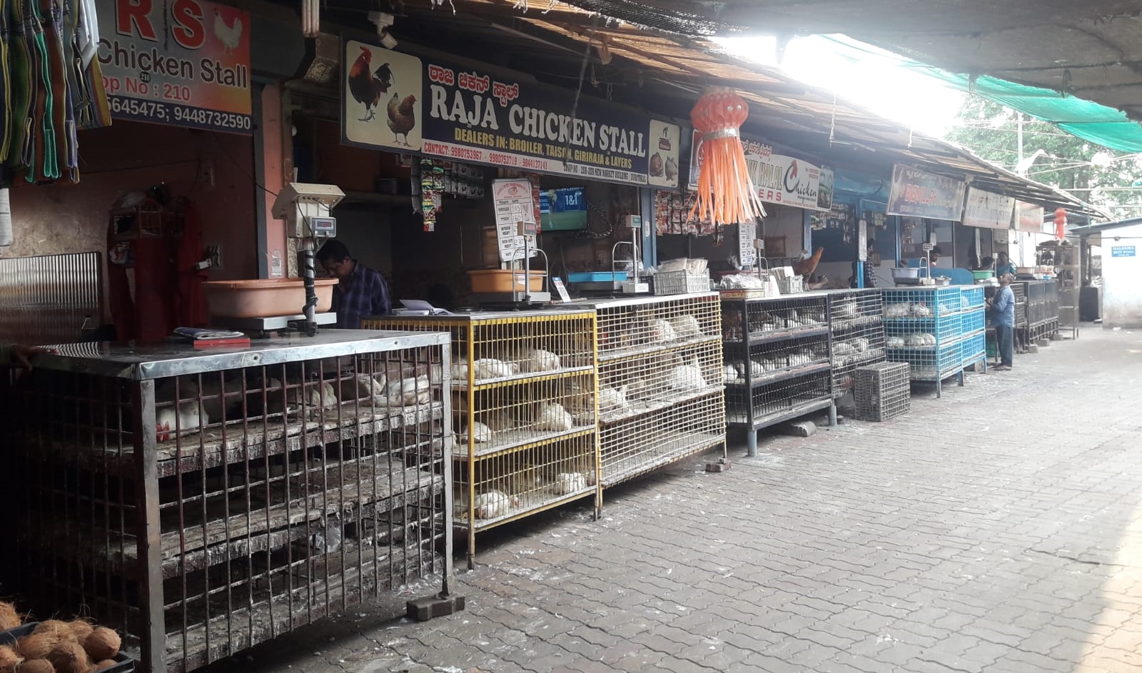 ಸುರತ್ಕಲ್ ಮಾರಿ ಪೂಜೆ :  ಧರ್ಮ ನೋಡದೇ ವ್ಯಾಪಾರ‌ ಮಾಡಿದ ಗ್ರಾಹಕರು