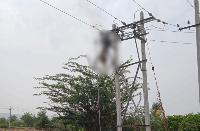 ​ಕಲಬುರಗಿ: ದುರಸ್ತಿ ವೇಳೆ ವಿದ್ಯುತ್ ಸ್ಪರ್ಶಿಸಿ ಲೈನ್‌ಮ್ಯಾನ್ ಮೃತ್ಯು