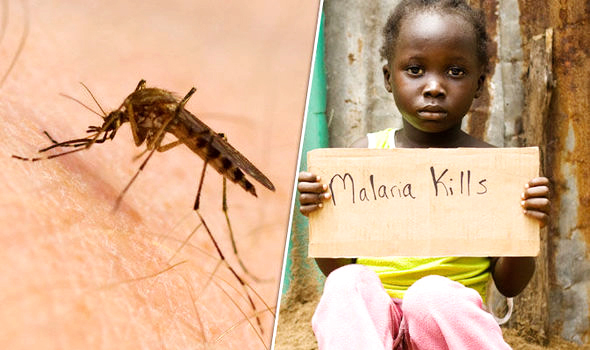 ಮಲೇರಿಯಾದ ಮೂಲ ಬಡತನ,  ಅನಕ್ಷರತೆ!