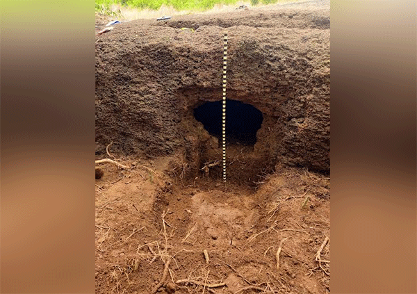 ಕಡಬ: ಅಪರೂಪದ ಬೃಹತ್ ಶಿಲಾಯುಗದ ಗುಹಾ ಸಮಾಧಿ ಪತ್ತೆ