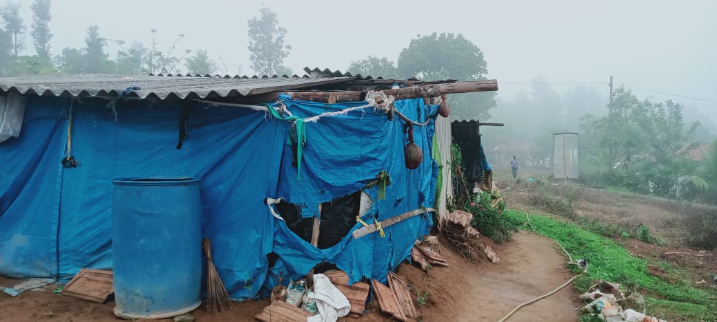 ಕಾಫಿನಾಡಿನಲ್ಲಿ ಭಾರೀ ಮಳೆಗೆ ಅಲ್ಲಲ್ಲಿ ಧರೆಗುರುಳಿದ ಮರ, ವಿದ್ಯುತ್ ಕಂಬಗಳು