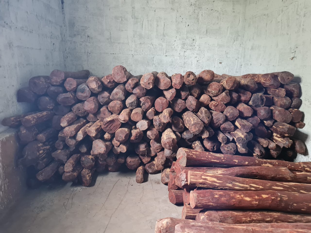 ಬೆಂಗಳೂರು: ಪುಷ್ಪ ಸಿನೆಮಾದ ಶೈಲಿಯಲ್ಲಿ ರಕ್ತಚಂದನ ಮಾರುತ್ತಿದ್ದ ಆರೋಪಿಯ ಬಂಧನ