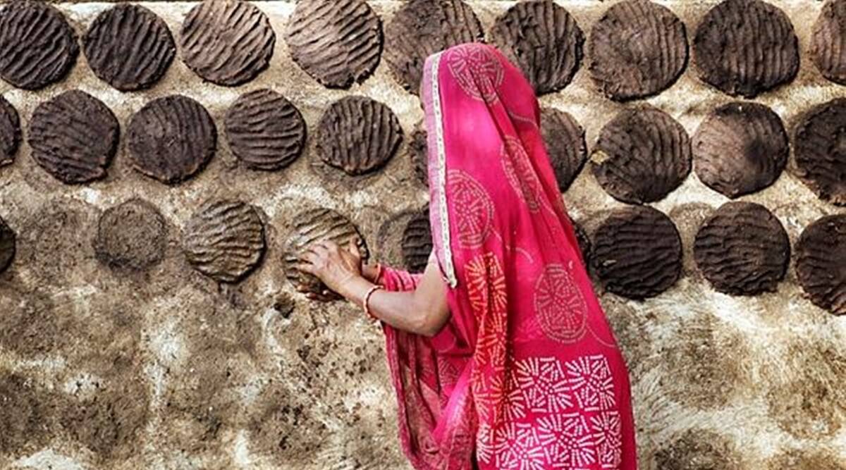 ಕಪ್ಪುಶಿಲೀಂದ್ರ ಸೋಂಕು ಹರಡಲು ಗೋವಿನ ಸೆಗಣಿ ಕಾರಣ?