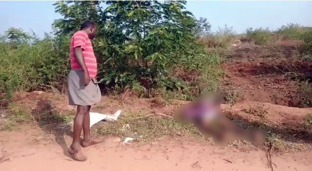 ಚಾಮರಾಜನಗರ: ಕಾಡಾನೆ ದಾಳಿಗೆ ಕ್ಷೌರಿಕ ಬಲಿ