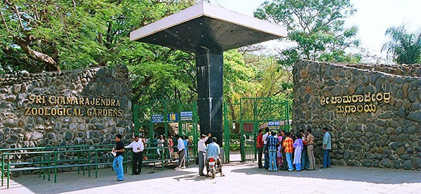 ಮೈಸೂರು ಪ್ರವಾಸಿ ತಾಣಗಳಿಗೆ ದಾಖಲೆ ಸಂಖ್ಯೆಯ ಪ್ರವಾಸಿಗರು ಭೇಟಿ