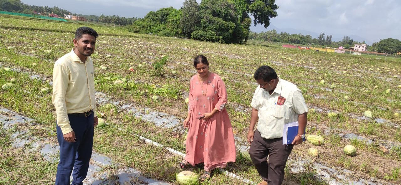 ಬೈಂದೂರು: ಕಲ್ಲಂಗಡಿ ಬೆಳೆ ಹಾನಿ ಪ್ರದೇಶಗಳಿಗೆ ತಹಶೀಲ್ದಾರ್ ಭೇಟಿ