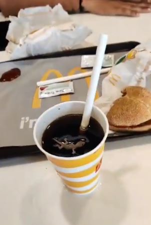 ಗುಜರಾತ್: ಮೆಕ್ಡೊನಾಲ್ಡ್ಸ್‌ ನ ಲಘು ಪಾನೀಯದಲ್ಲಿ ಸತ್ತ ಹಲ್ಲಿ ಪತ್ತೆ