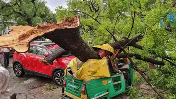 ಅರ್ಧ ಗಂಟೆ ಗಾಳಿ ಆವಾಂತರ; ಇಬ್ಬರು ಬಲಿ, ರಾಜಧಾನಿ ಅಲ್ಲೋಲ ಕಲ್ಲೋಲ