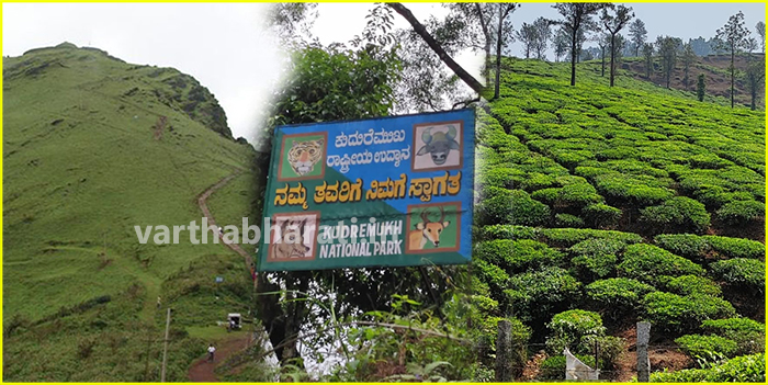 ಚಿಕ್ಕಮಗಳೂರು: ಕೊರೋನದಿಂದ ಸೊರಗಿದ್ದ ಜಿಲ್ಲೆಯ ಪ್ರವಾಸೋದ್ಯಮದಲ್ಲಿ ಚೇತರಿಕೆ