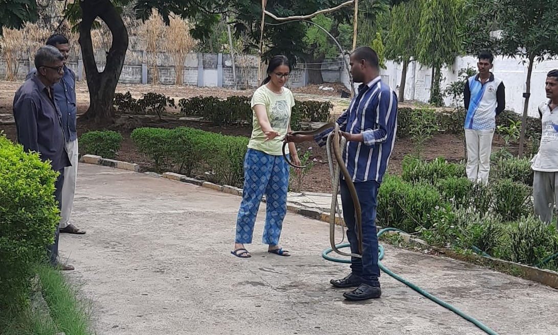 ಕಲಬುರಗಿ: ಪೊಲೀಸ್ ವರಿಷ್ಠಾಧಿಕಾರಿ ಮನೆಯಲ್ಲಿ ಎರಡು ಹಾವುಗಳು ಪತ್ತೆ