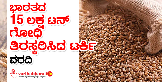 ಭಾರತದ 15 ಲಕ್ಷ ಟನ್ ಗೋಧಿ ತಿರಸ್ಕರಿಸಿದ ಟರ್ಕಿ: ವರದಿ