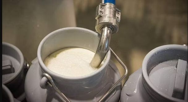 ಹಾಲಿನ ಖರೀದಿ ದರ ಹೆಚ್ಚಳಕ್ಕೆ ಆಗ್ರಹ; ಜೂ.15ರಿಂದ ಅನಿರ್ದಿಷ್ಟಾವಧಿ ಪ್ರತಿಭಟನೆಗೆ ಹಾಲು ಉತ್ಪಾದಕರ ವೇದಿಕೆ ಕರೆ